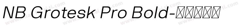 NB Grotesk Pro Bold字体转换